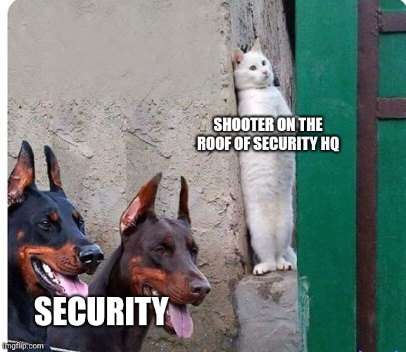 Hidden cat | SHOOTER ON THE ROOF OF SECURITY HQ; SECURITY | image tagged in hidden cat,funny memes | made w/ Imgflip meme maker