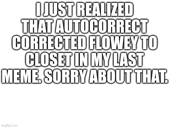 I didn't realize | I JUST REALIZED THAT AUTOCORRECT CORRECTED FLOWEY TO CLOSET IN MY LAST MEME. SORRY ABOUT THAT. | image tagged in sorry | made w/ Imgflip meme maker
