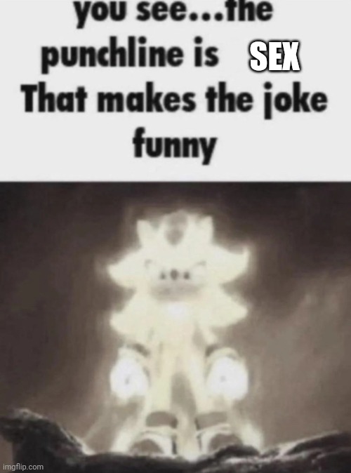 You see the punchline is that makes the joke funny shadow | SEX | image tagged in you see the punchline is that makes the joke funny shadow | made w/ Imgflip meme maker