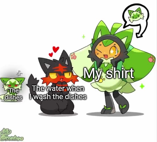 Litten love "Sprigatito", while the real Sprigatito behind him | The water when I wash the dishes My shirt The dishes | image tagged in litten love sprigatito while the real sprigatito behind him | made w/ Imgflip meme maker