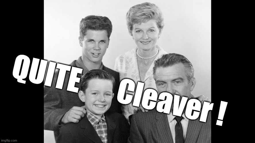 QUITE       Cleaver ! | made w/ Imgflip meme maker