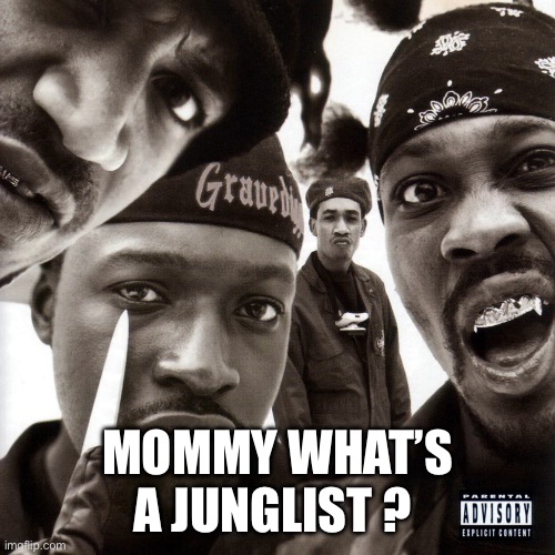 Mommy what’s a junglist | MOMMY WHAT’S A JUNGLIST ? | image tagged in junglist,junglism,big ups rude boy junglist | made w/ Imgflip meme maker