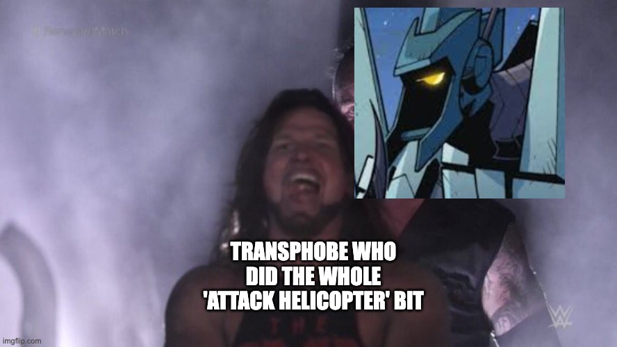AJ Styles & Undertaker | TRANSPHOBE WHO DID THE WHOLE 'ATTACK HELICOPTER' BIT | image tagged in aj styles undertaker,transformers,transgender,lgbtq | made w/ Imgflip meme maker