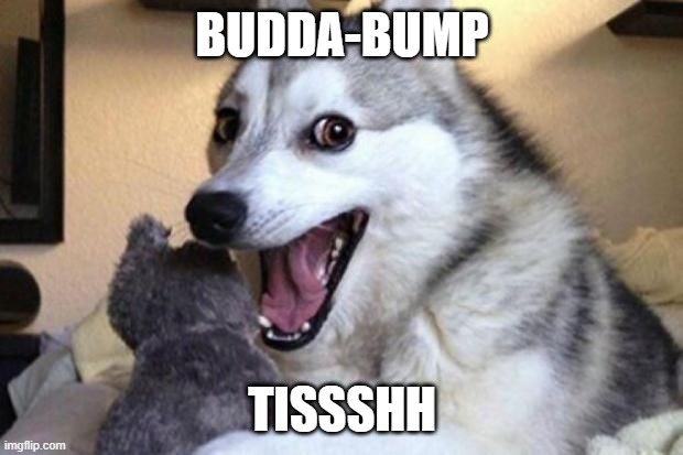 Bad Pun Dog | BUDDA-BUMP TISSSHH | image tagged in bad pun dog | made w/ Imgflip meme maker