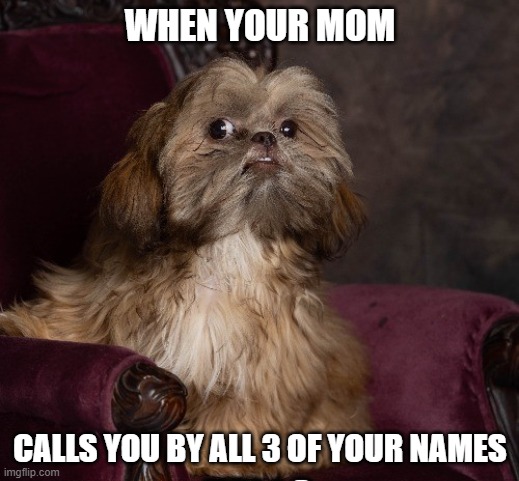 WHEN YOUR MOM CALLS YOU BY ALL 3 OF YOUR NAMES | made w/ Imgflip meme maker