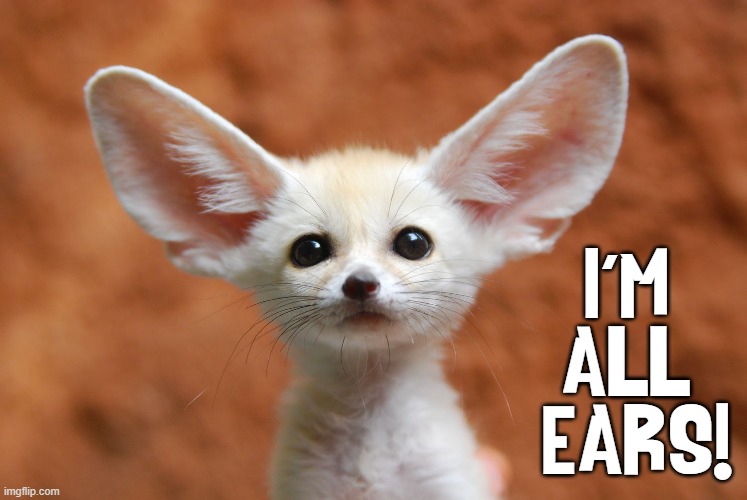 I'M ALL  EARS! | made w/ Imgflip meme maker