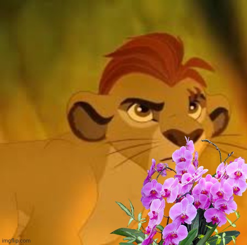 come on foxy have some mercy for the poor guy | image tagged in kion crybaby | made w/ Imgflip meme maker
