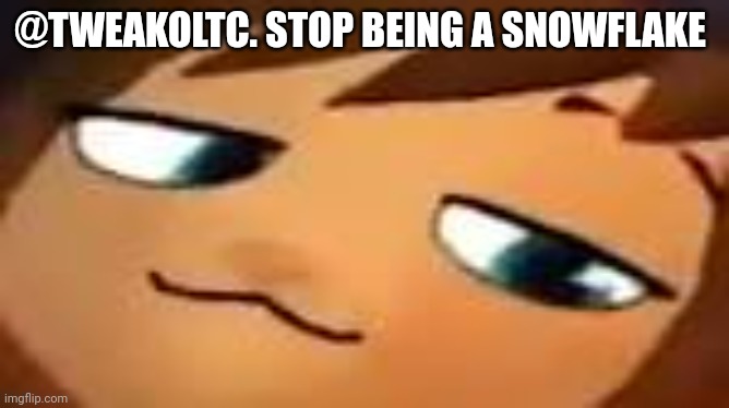 smug hat kid.mp4 | @TWEAKOLTC. STOP BEING A SNOWFLAKE | image tagged in smug hat kid mp4 | made w/ Imgflip meme maker