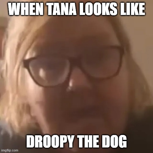 tina dandridge | WHEN TANA LOOKS LIKE; DROOPY THE DOG | image tagged in tina dandridge,meme | made w/ Imgflip meme maker