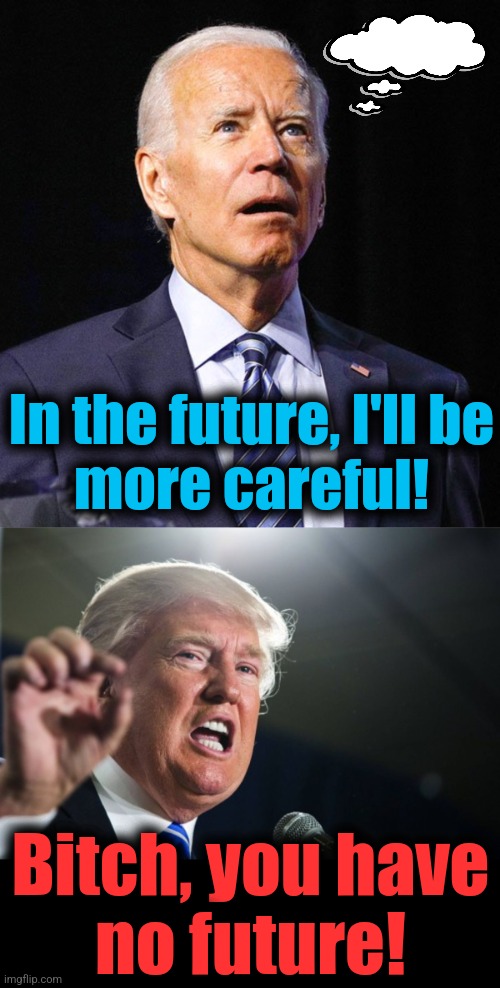 In the future, I'll be
more careful! Bitch, you have
no future! | image tagged in joe biden,donald trump | made w/ Imgflip meme maker