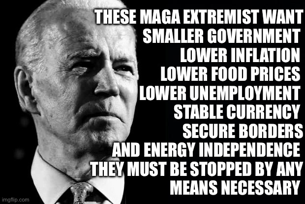 Biden’s plea for democracy | THESE MAGA EXTREMIST WANT
 SMALLER GOVERNMENT 
LOWER INFLATION 
LOWER FOOD PRICES 
LOWER UNEMPLOYMENT 
STABLE CURRENCY 
SECURE BORDERS
AND ENERGY INDEPENDENCE 
THEY MUST BE STOPPED BY ANY
MEANS NECESSARY | image tagged in confused sage joe biden,funny,memes | made w/ Imgflip meme maker