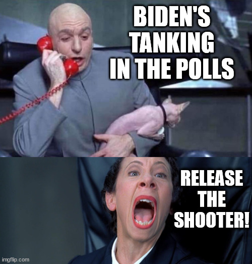 Dr Evil and Frau | BIDEN'S TANKING IN THE POLLS; RELEASE THE SHOOTER! | image tagged in dr evil and frau,memes,democrats,deep state,fbi,cia | made w/ Imgflip meme maker