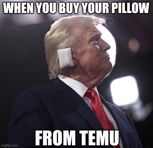 WHEN YOU BUY YOUR PILLOW; FROM TEMU | made w/ Imgflip meme maker