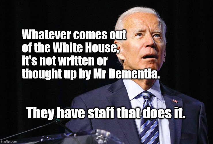 who is in charge? | Whatever comes out of the White House, it's not written or thought up by Mr Dementia. They have staff that does it. | image tagged in dementia | made w/ Imgflip meme maker