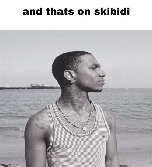 and that's on skibidi | image tagged in and that's on skibidi | made w/ Imgflip meme maker