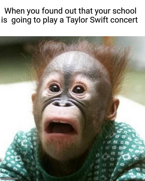 This happened in the school that I recently graduated from senior high 2 months ago | When you found out that your school is  going to play a Taylor Swift concert | image tagged in shocked monkey,memes,taylor swift,school,so true,accurate | made w/ Imgflip meme maker