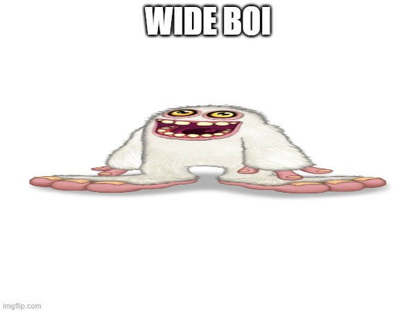 wide boi | WIDE BOI | image tagged in msm | made w/ Imgflip meme maker