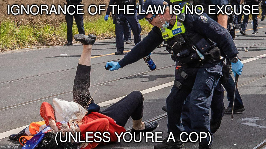 ignorance | IGNORANCE OF THE LAW IS NO EXCUSE; (UNLESS YOU'RE A COP) | image tagged in police | made w/ Imgflip meme maker