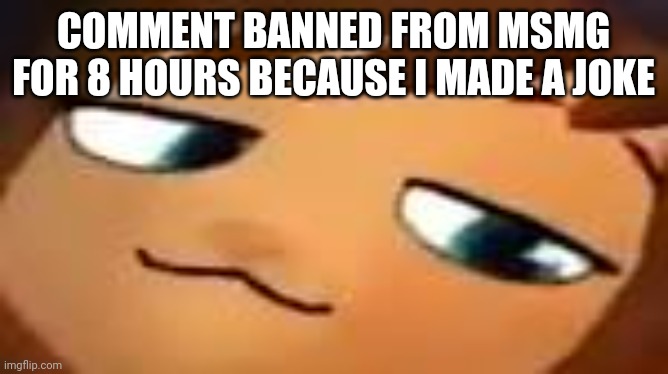 smug hat kid.mp4 | COMMENT BANNED FROM MSMG FOR 8 HOURS BECAUSE I MADE A JOKE | image tagged in smug hat kid mp4 | made w/ Imgflip meme maker