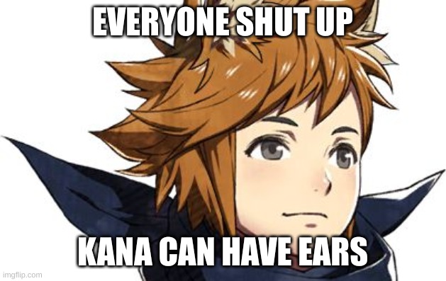 EVERYONE SHUT UP | EVERYONE SHUT UP; KANA CAN HAVE EARS | image tagged in fire emblem fates | made w/ Imgflip meme maker