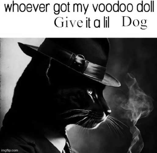 whoever got my voodoo doll x it a lil | Dog; Give | image tagged in whoever got my voodoo doll x it a lil | made w/ Imgflip meme maker