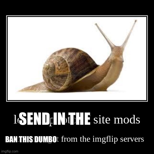 site mods | SEND IN THE BAN THIS DUMBO | image tagged in site mods | made w/ Imgflip meme maker