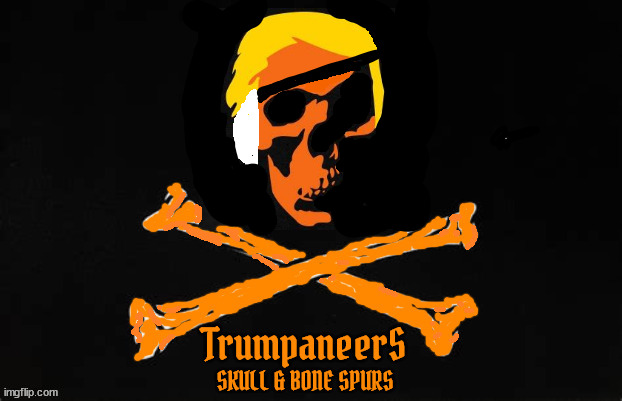 TRUMPANEERS Ear Patch | image tagged in ear patch,pocket pirate,trumpaneers,maga morons,skull and bone spurs,ear piece | made w/ Imgflip meme maker