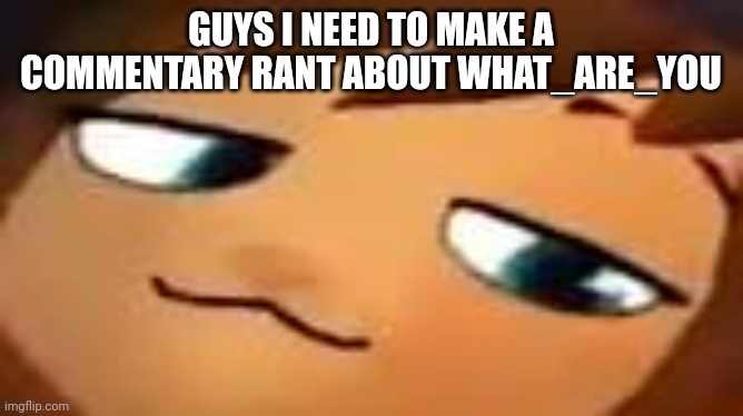 smug hat kid.mp4 | GUYS I NEED TO MAKE A COMMENTARY RANT ABOUT WHAT_ARE_YOU | image tagged in smug hat kid mp4 | made w/ Imgflip meme maker