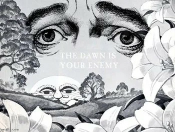 you shouldn't be up at this hour | image tagged in the dawn is your enemy | made w/ Imgflip meme maker
