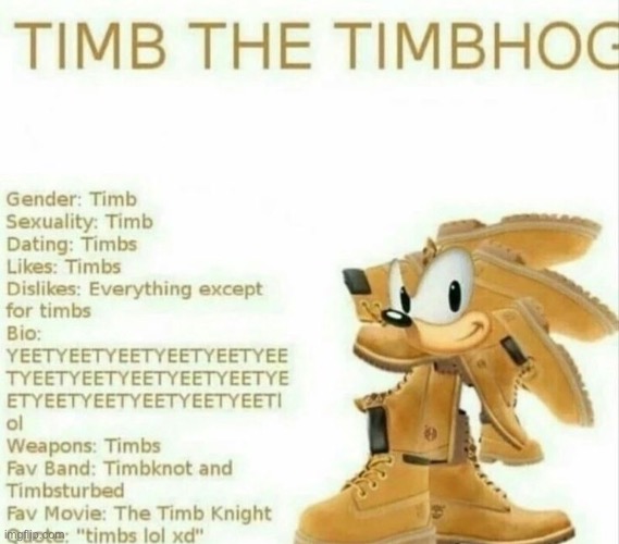 Timb | image tagged in timb | made w/ Imgflip meme maker