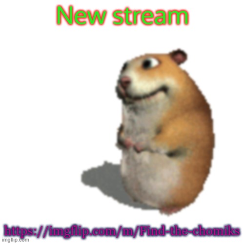 Chomik | New stream; https://imgflip.com/m/Find-the-chomiks | image tagged in chomik | made w/ Imgflip meme maker