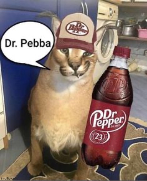 Pebba | made w/ Imgflip meme maker