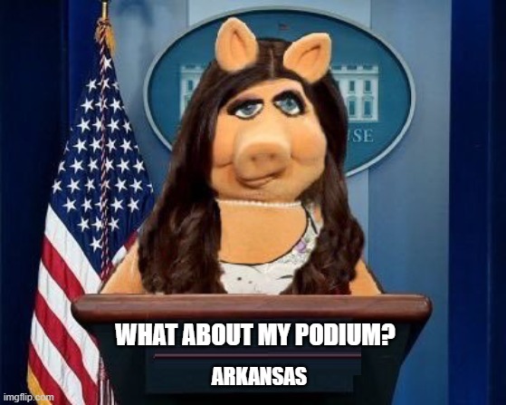 Sarah Huckabee Sanders | WHAT ABOUT MY PODIUM? ARKANSAS | image tagged in sarah huckabee sanders,sarah sanders,arkansas,republicans,grifters | made w/ Imgflip meme maker