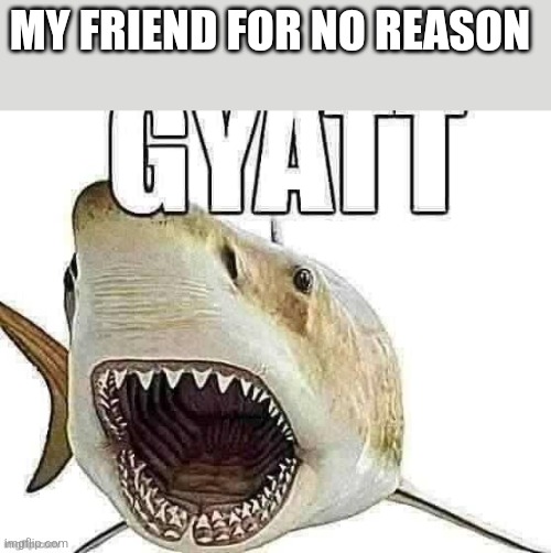 Shark gyatt | MY FRIEND FOR NO REASON | image tagged in shark gyatt | made w/ Imgflip meme maker