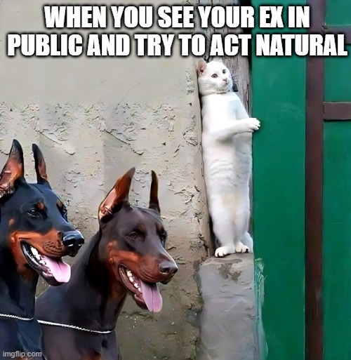 ex | WHEN YOU SEE YOUR EX IN PUBLIC AND TRY TO ACT NATURAL | image tagged in memes | made w/ Imgflip meme maker