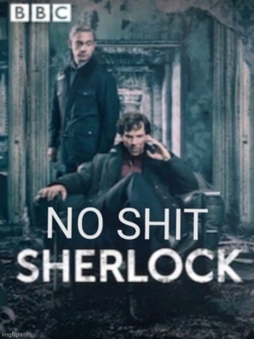 No shit Sherlock | image tagged in no shit sherlock | made w/ Imgflip meme maker