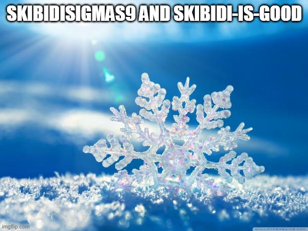 snowflake | SKIBIDISIGMAS9 AND SKIBIDI-IS-GOOD | image tagged in snowflake | made w/ Imgflip meme maker
