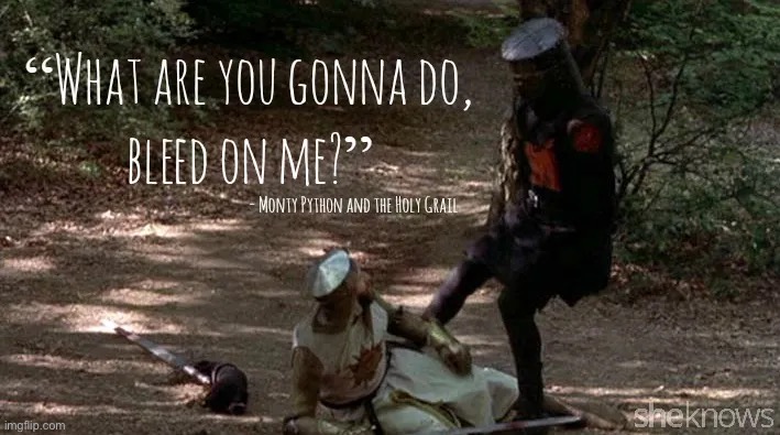 image tagged in monty python,monty python black knight | made w/ Imgflip meme maker