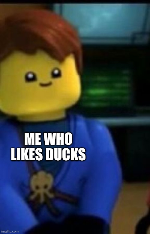 Cute | ME WHO LIKES DUCKS | image tagged in cute | made w/ Imgflip meme maker