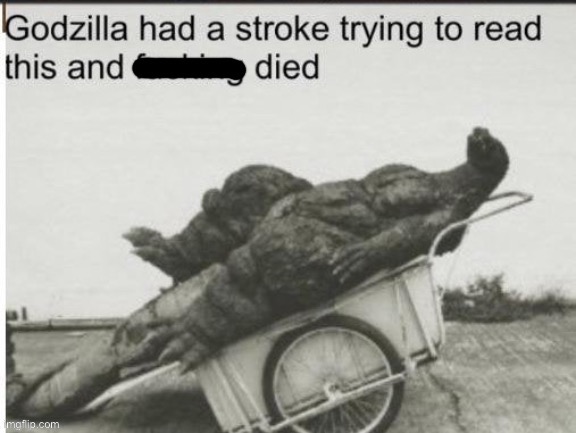 Godzilla had a stroke trying to read this and died | image tagged in godzilla had a stroke trying to read this | made w/ Imgflip meme maker