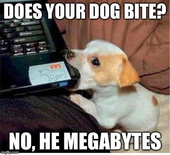 Puppy bit | DOES YOUR DOG BITE? NO, HE MEGABYTES | image tagged in puppy,byte,does your dog bite | made w/ Imgflip meme maker
