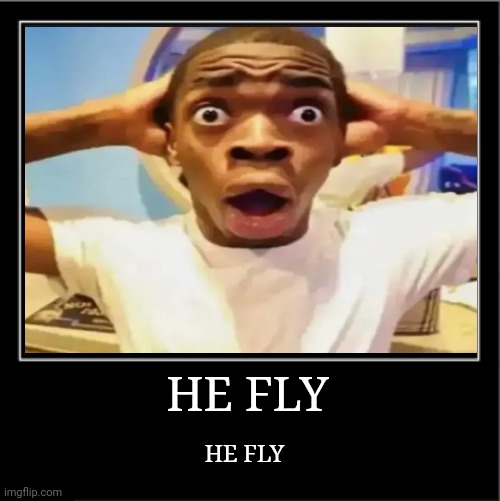 Demotivational poster | HE FLY HE FLY | image tagged in demotivational poster | made w/ Imgflip meme maker