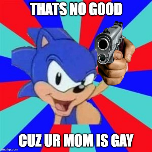 Sonic sez | THATS NO GOOD; CUZ UR MOM IS GAY | image tagged in sonic sez | made w/ Imgflip meme maker