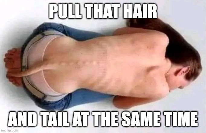 Pull that hair | PULL THAT HAIR; AND TAIL AT THE SAME TIME | image tagged in tail,hair | made w/ Imgflip meme maker