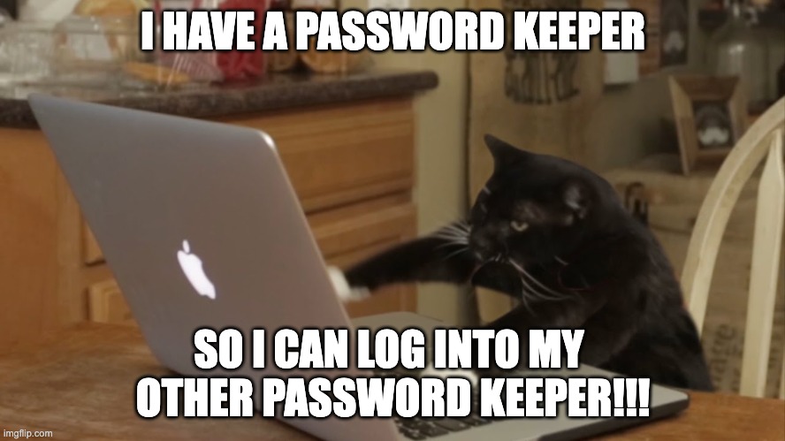 Password Keeper Loop | I HAVE A PASSWORD KEEPER; SO I CAN LOG INTO MY 
OTHER PASSWORD KEEPER!!! | image tagged in furiously typing cat,password | made w/ Imgflip meme maker