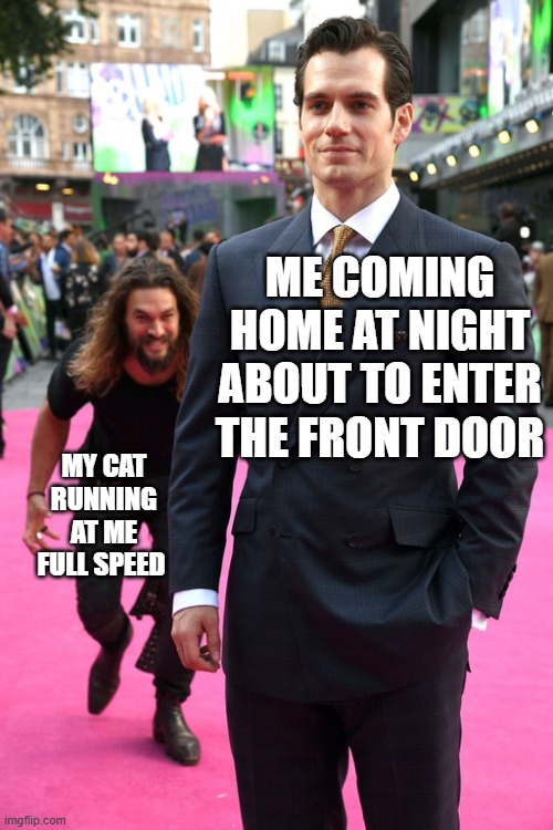 He keeps jumpscaring me bc he wanna come inside with me | ME COMING HOME AT NIGHT ABOUT TO ENTER THE FRONT DOOR; MY CAT RUNNING AT ME FULL SPEED | image tagged in jason momoa henry cavill meme,cat,jumpscare,funny,memes,dank memes | made w/ Imgflip meme maker
