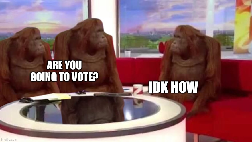 where monkey | IDK HOW; ARE YOU GOING TO VOTE? | image tagged in where monkey | made w/ Imgflip meme maker