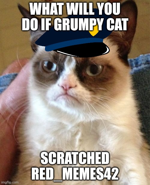 For red memes 42 | WHAT WILL YOU DO IF GRUMPY CAT; SCRATCHED RED_MEMES42 | image tagged in memes,grumpy cat | made w/ Imgflip meme maker