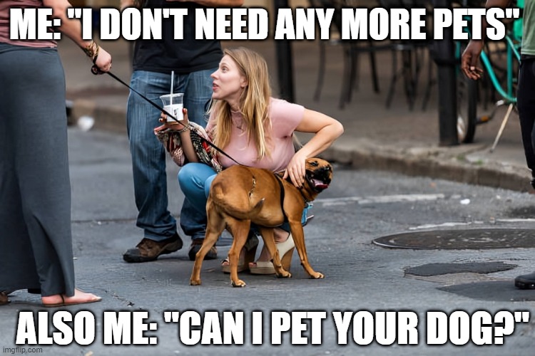 pets | ME: "I DON'T NEED ANY MORE PETS"; ALSO ME: "CAN I PET YOUR DOG?" | image tagged in memes | made w/ Imgflip meme maker