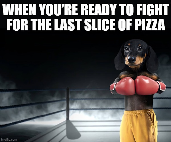 last slice of pizza | WHEN YOU’RE READY TO FIGHT FOR THE LAST SLICE OF PIZZA | image tagged in memes | made w/ Imgflip meme maker